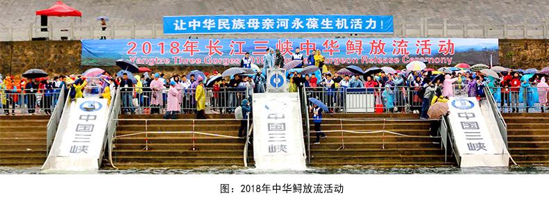 生态环保修复 