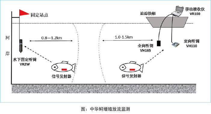 生态环保修复 