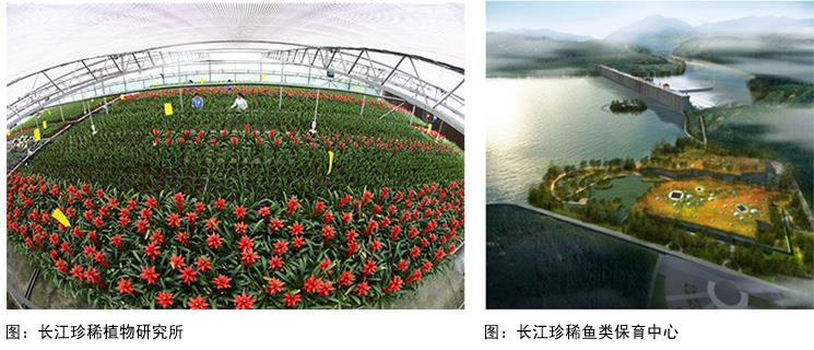 生态环保修复 