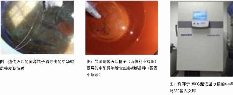 情形；；；；た蒲 