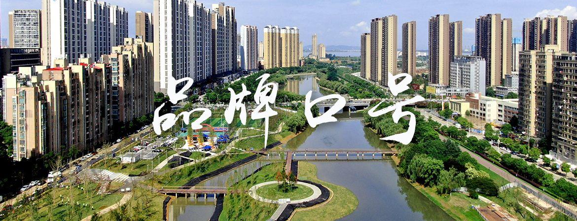 集团理念 