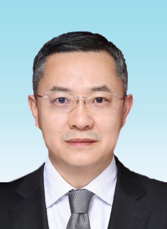 向导团队 