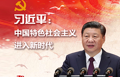 图解专区 